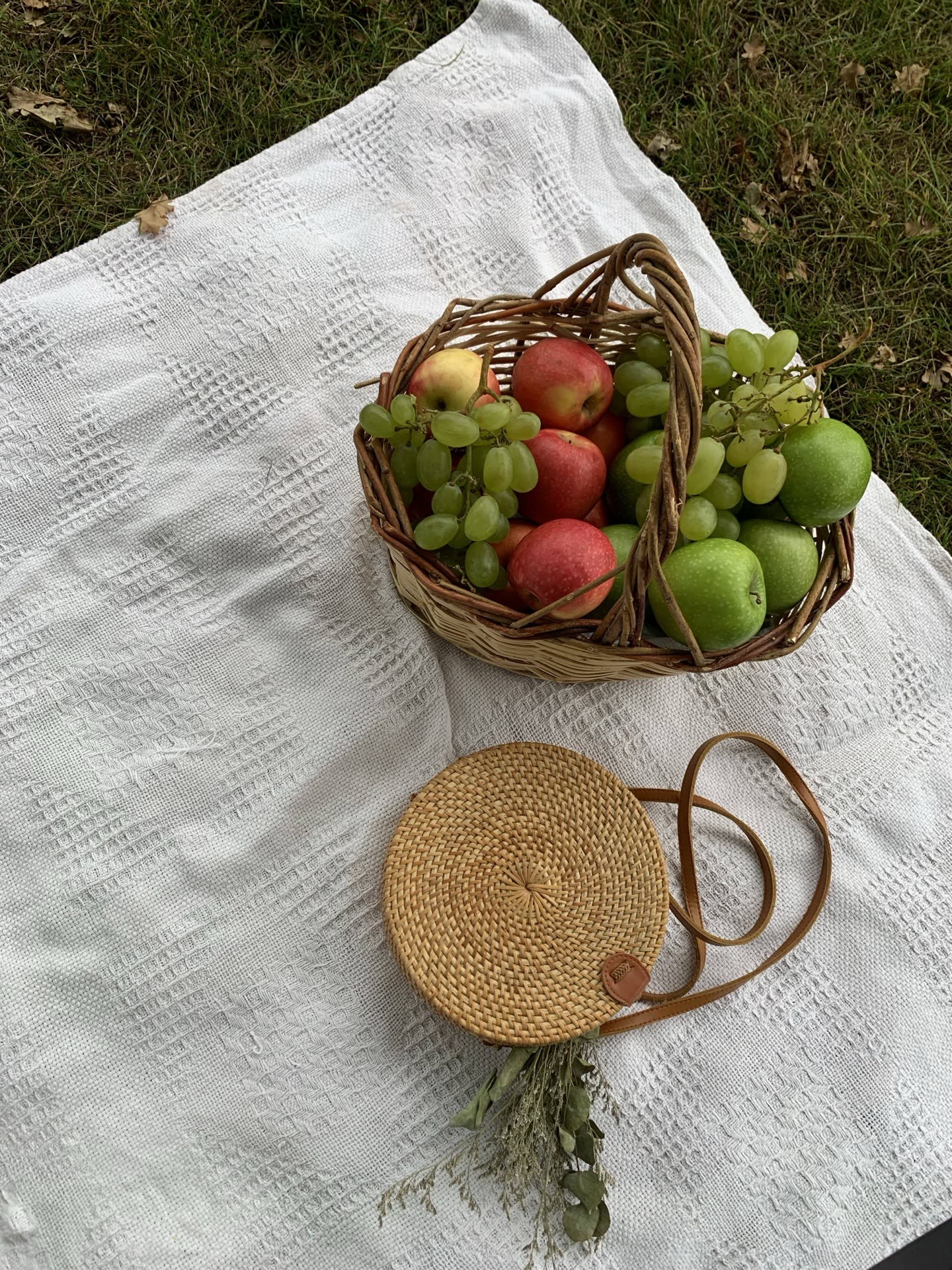 Bimarket Picnic 3