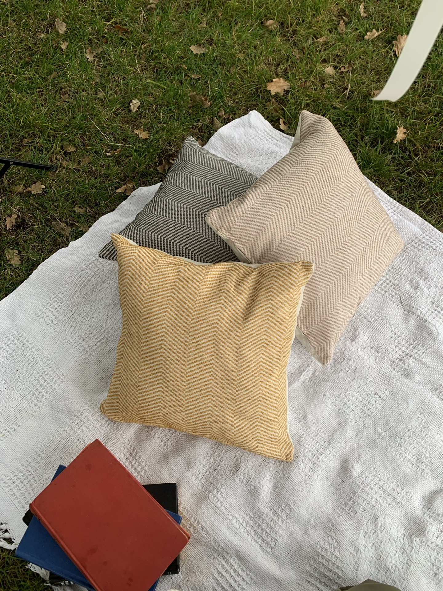 Bimarket Picnic 4